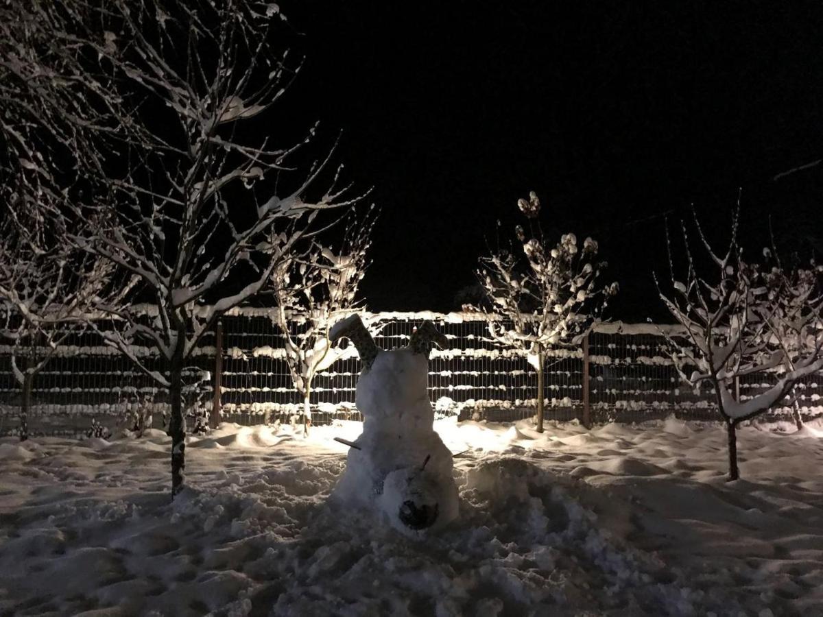 Cabana Jasmin Băile Chirui Dış mekan fotoğraf